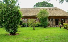 Gorilla African Guest House